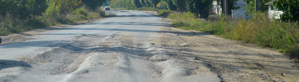 Степанівка з panoramio.com - Степанівка
