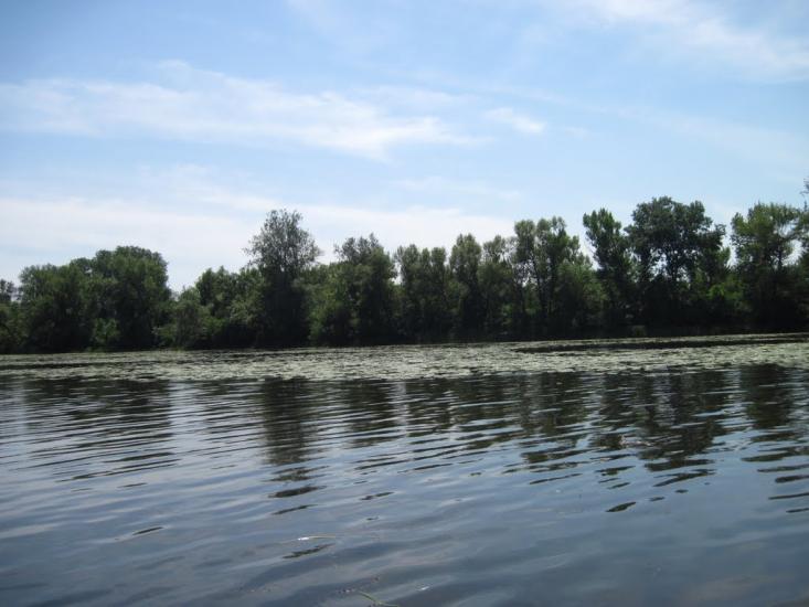 Потоки з panoramio.com - Потоки