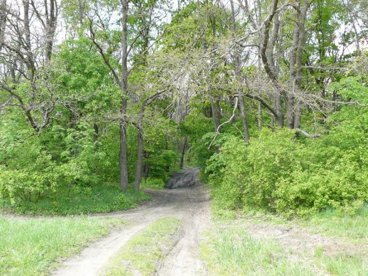 Українське з panoramio.com - Украинское