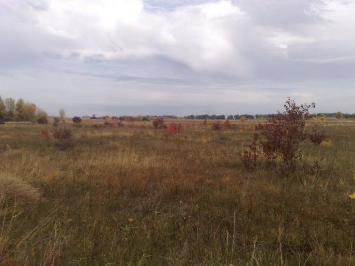 Узин з panoramio.com - Узин