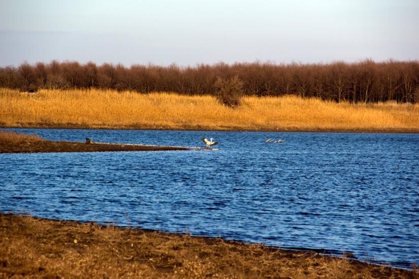 Новоіванівка з panoramio.com - Новоіванівка