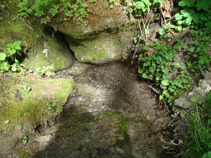 Романівка з panoramio.com - Романовка