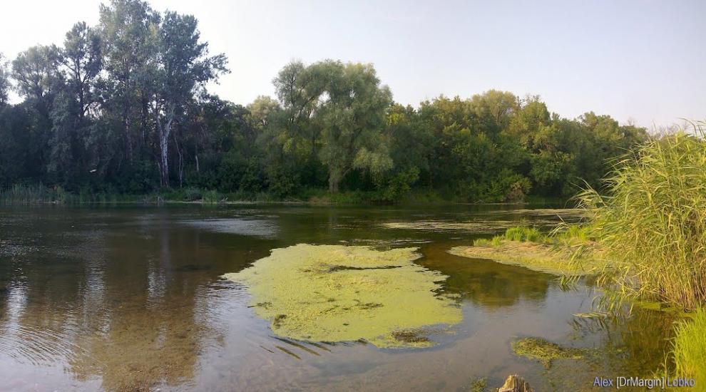 Стародубівка з panoramio.com - Стародубівка