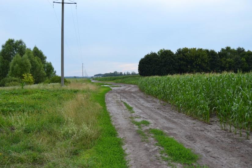 Велика Дівиця з panoramio.com - Велика Дівиця