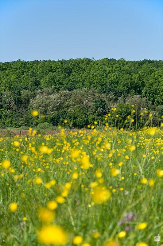 Руські Тишки з panoramio.com - Руські Тишки