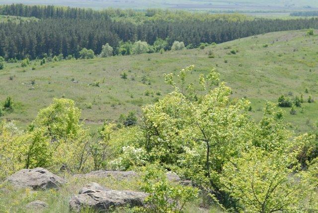 Саурівка з panoramio.com - Сауровка