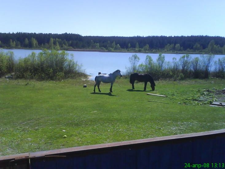 Слоут з panoramio.com - Слоут