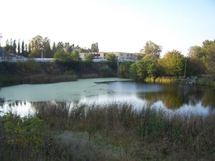 Довжик з panoramio.com - Довжик