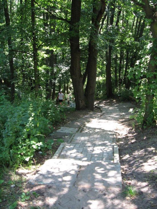 Шипилівка з panoramio.com - Shypylivka