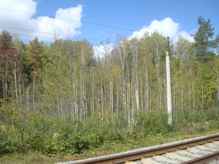 Червоний Цвіт з panoramio.com - Червоный Цвет