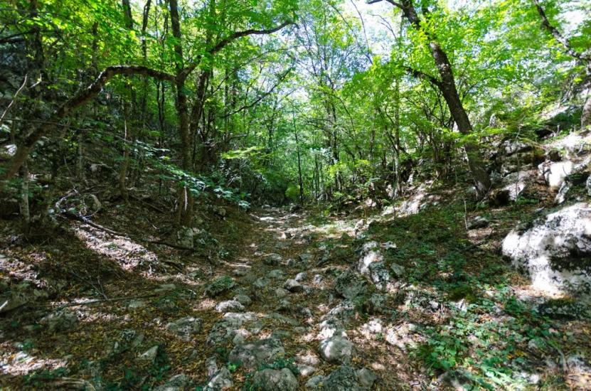 Колхозне з panoramio.com - Колхозное