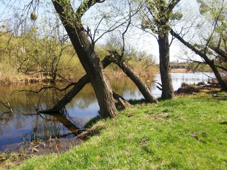 Гордашівка з panoramio.com - Гордашовка