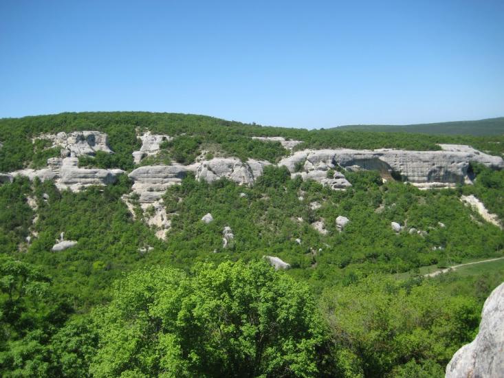 Новобобрівське з panoramio.com - Новобобровское