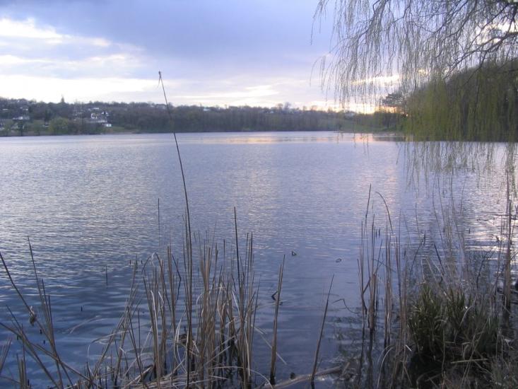 Ставище з panoramio.com - Ставище