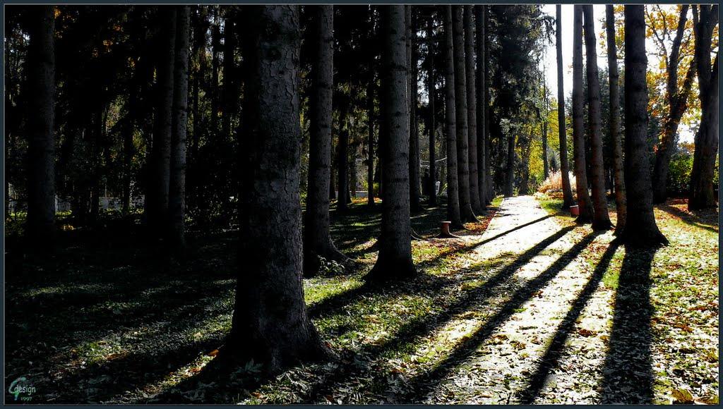 Прибузьке з panoramio.com - Прибугское