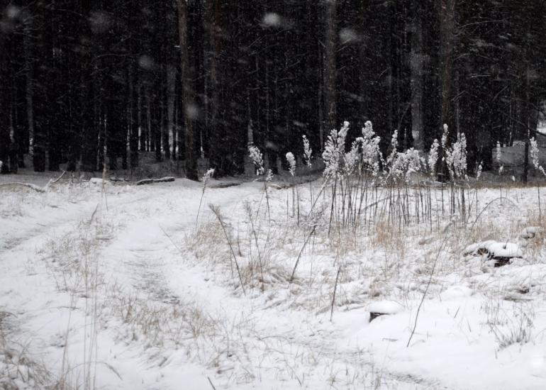 Саги з panoramio.com - Саги