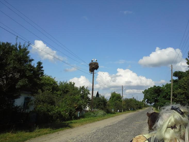 Вирка з panoramio.com - Вирка