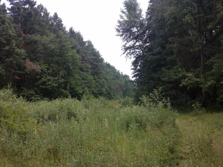 Житомир з panoramio.com - Житомир