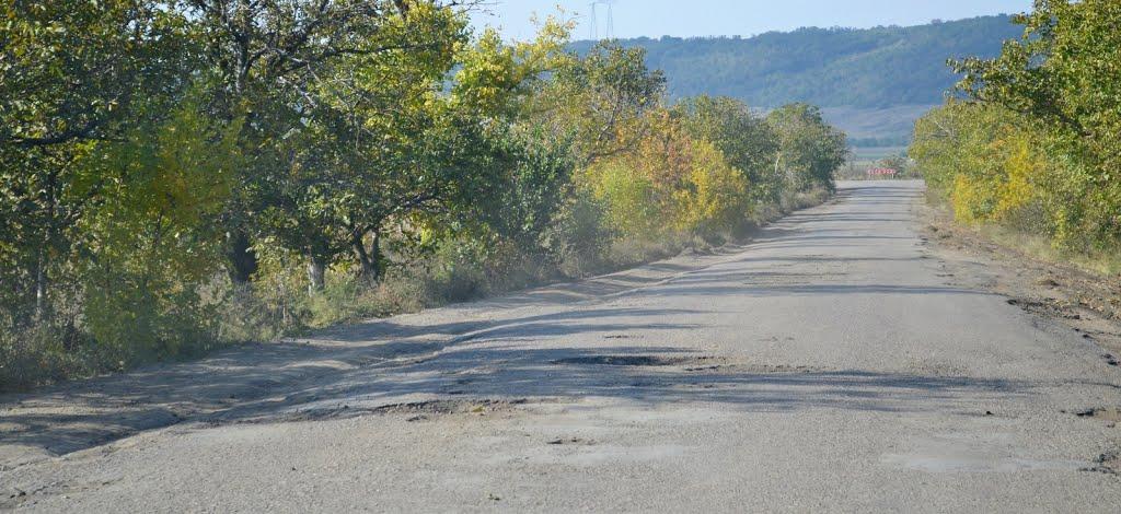 Розалівка з panoramio.com - Розаловка
