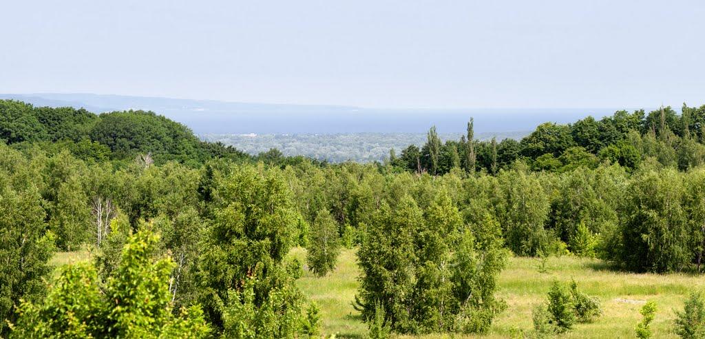 Пекарі з panoramio.com - Пекарі
