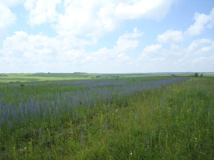 Грузевиця з panoramio.com - Грузевиця
