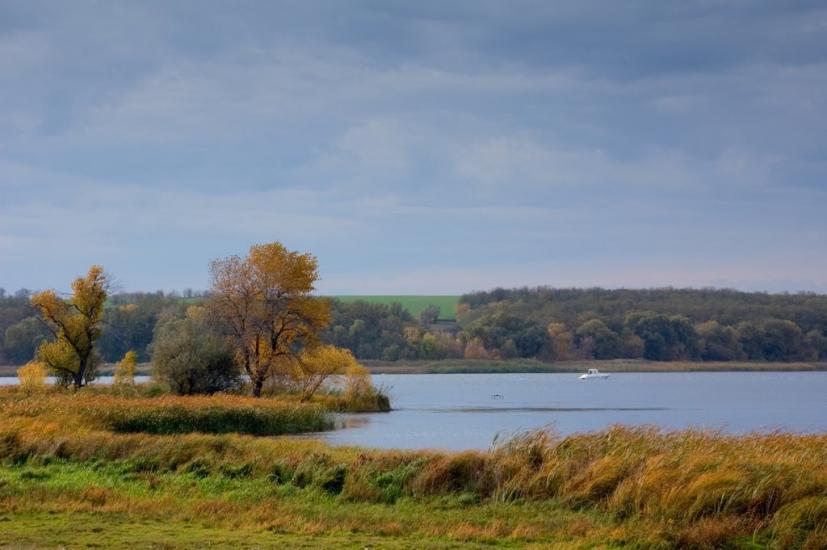 Воронівка з panoramio.com - Вороновка