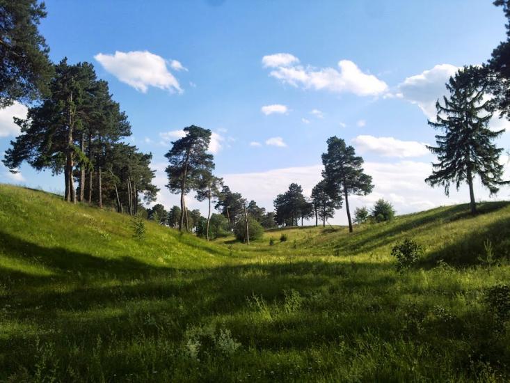 Нова Січ з panoramio.com - Новая Сечь