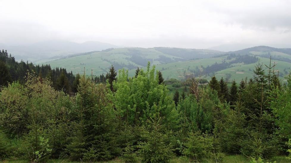 Пилипець з panoramio.com - Пилипец