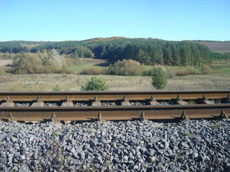 Радісне з panoramio.com - Радісне