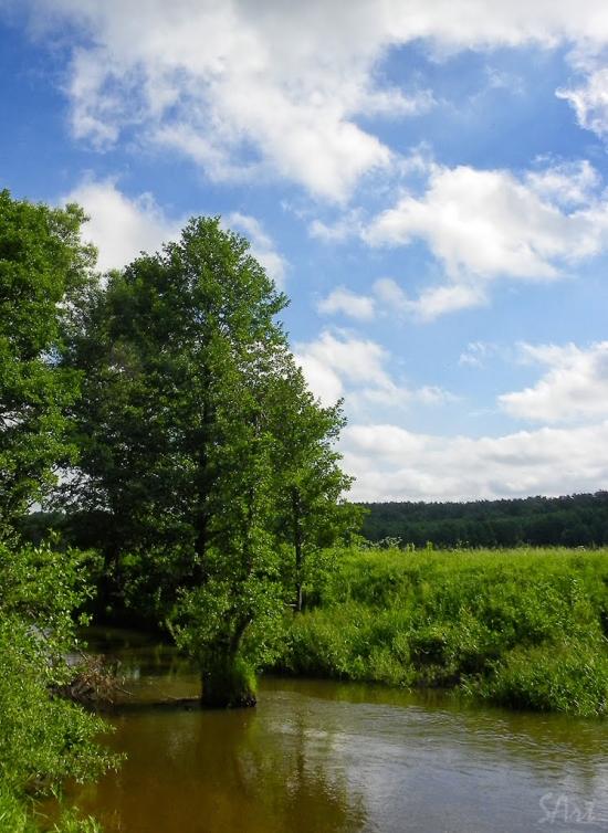 Новий Білоус з panoramio.com - Новий Білоус