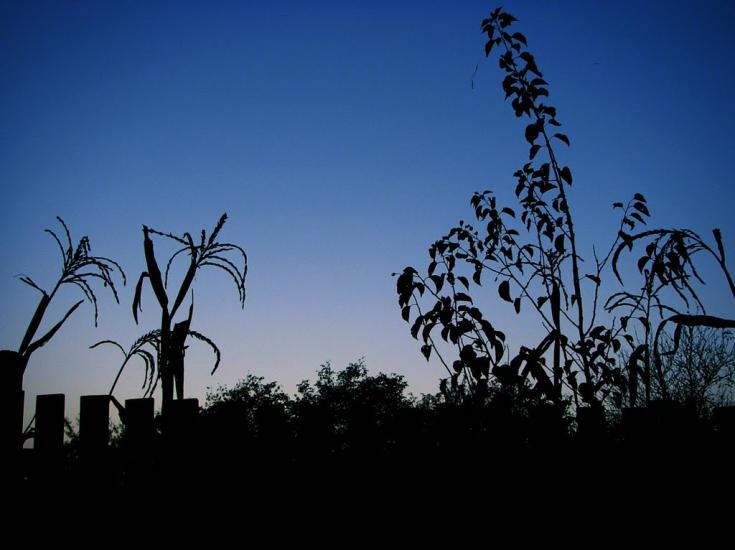 Городське з panoramio.com - Городское