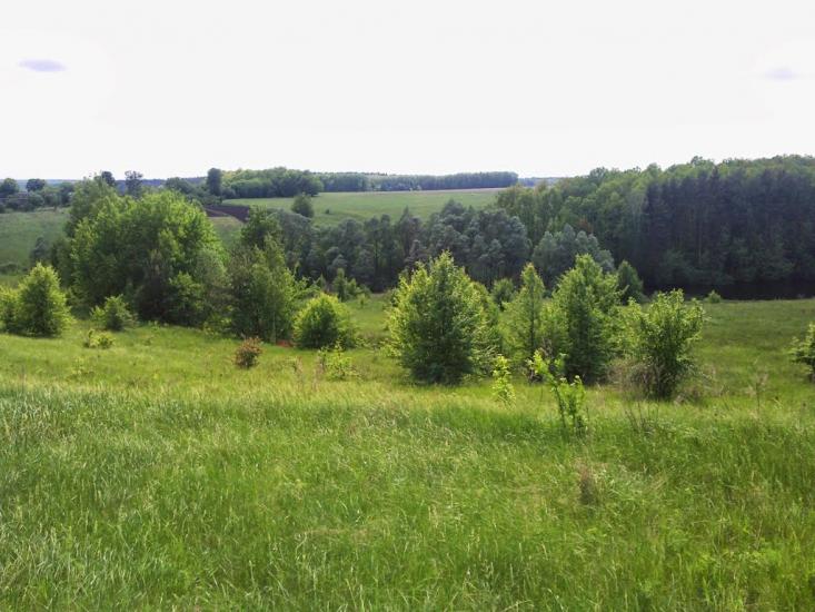 Нова Січ з panoramio.com - Новая Сечь