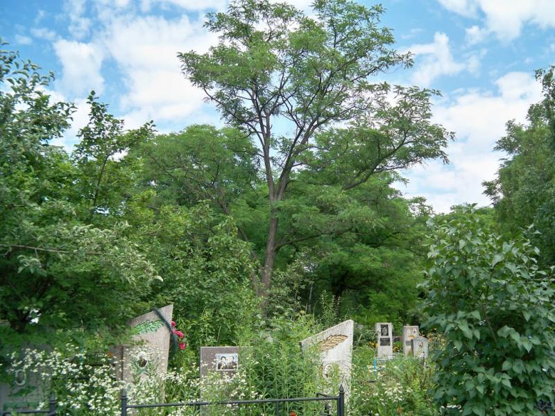 Дніпрельстан з panoramio.com - Dniprelstan