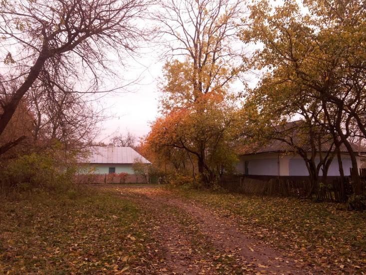 Ріпна з panoramio.com - Ріпна