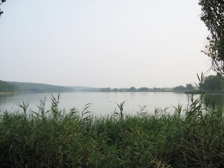 Данилівка з panoramio.com - Даниловка