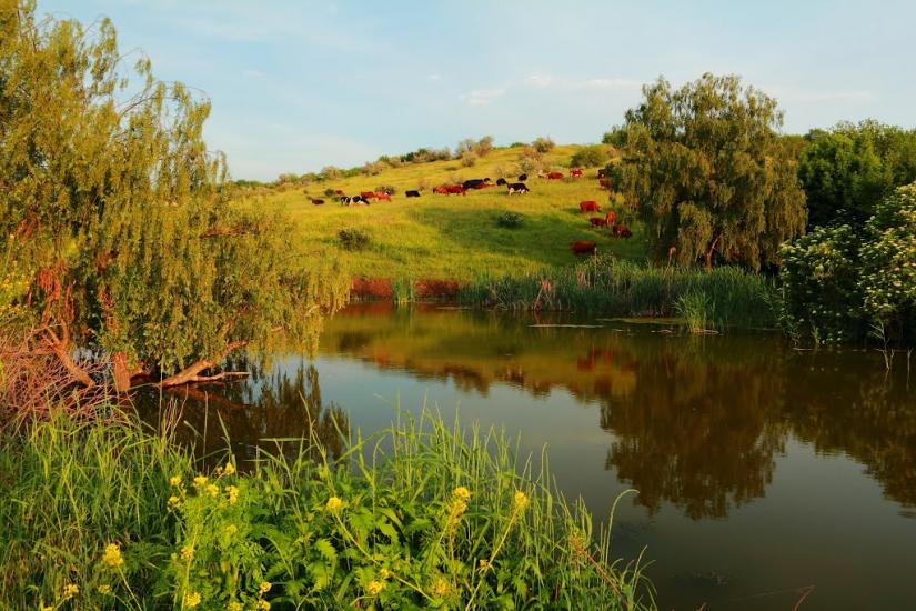Скельки з panoramio.com - Скельки
