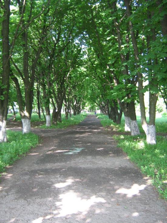 Нова Березівка з panoramio.com - Нова Березівка