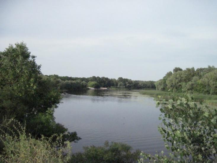 Потоки з panoramio.com - Потоки