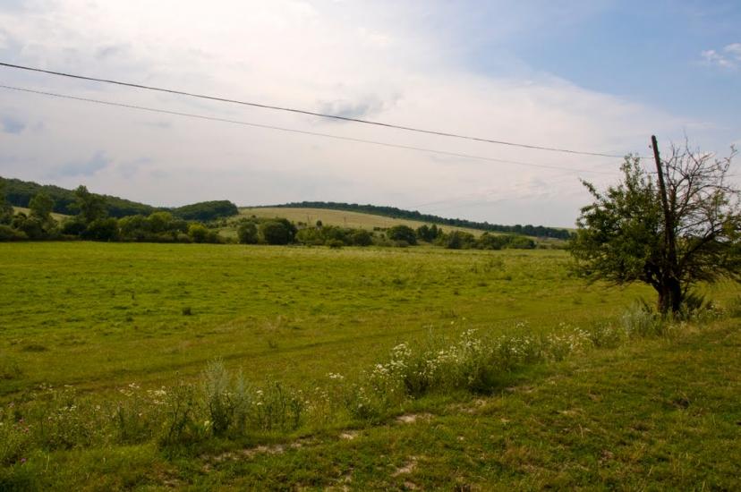 Великий Карабчіїв з panoramio.com - Великий Карабчіїв
