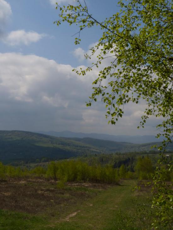 Орів з panoramio.com - Оров