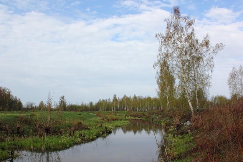 Курне з panoramio.com - Курное