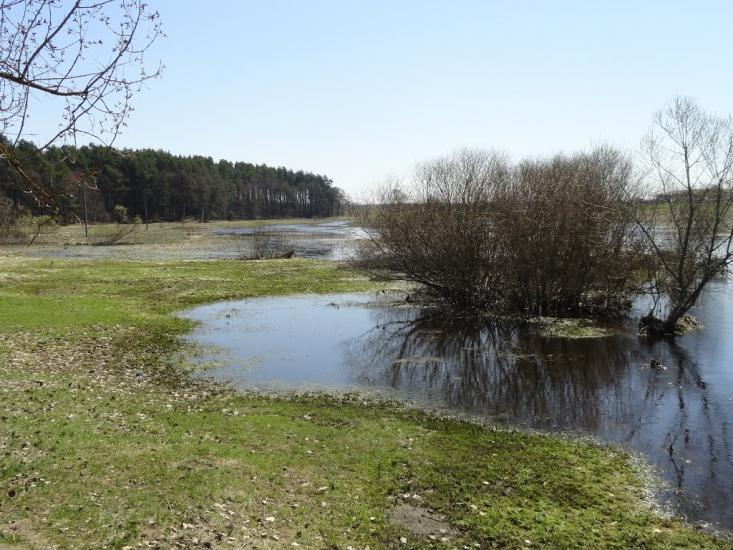 Бодячів з panoramio.com - Бодячев