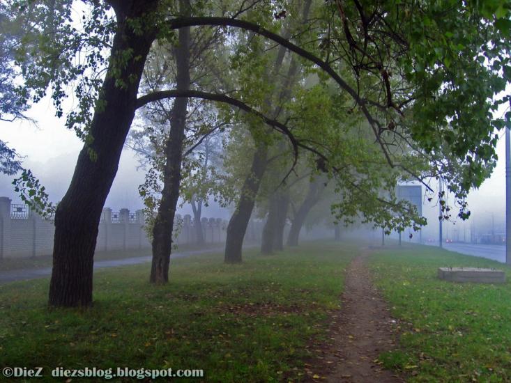 Сіряки з panoramio.com - Серяки