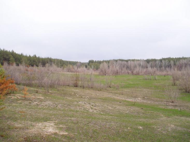 Рубіжне з panoramio.com - Рубежное