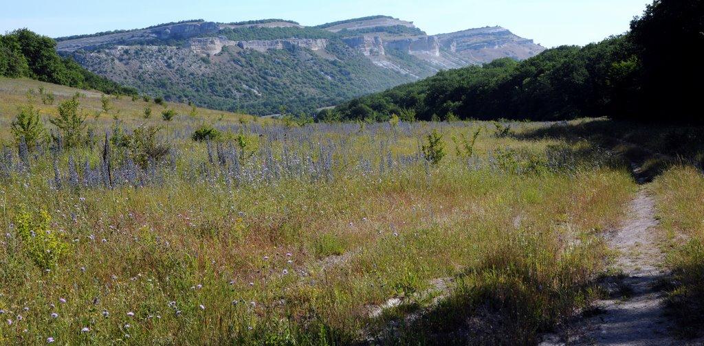Скалисте з panoramio.com - Скалисте