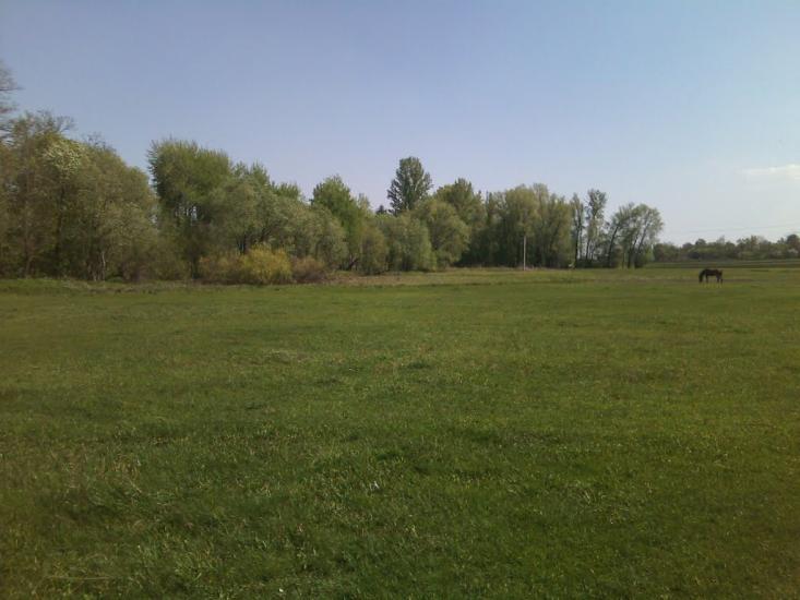 Степанівка з panoramio.com - Степановка