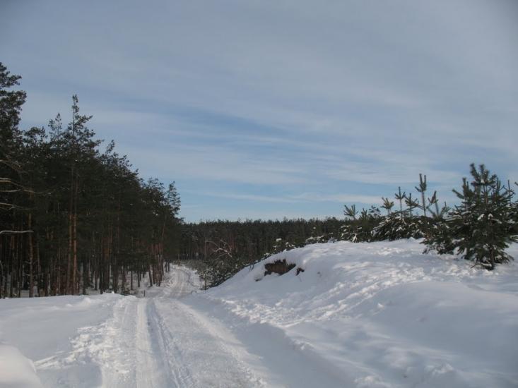 Зазим'я з panoramio.com - Зазимье