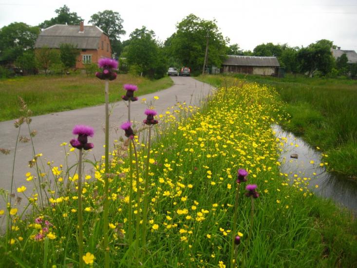 Ков'ярі з panoramio.com - Ковяри