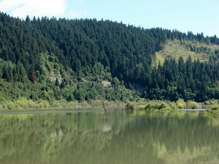 Явора з panoramio.com - Явора
