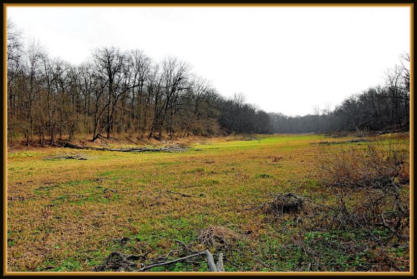 Шипилівка з panoramio.com - Shypylivka